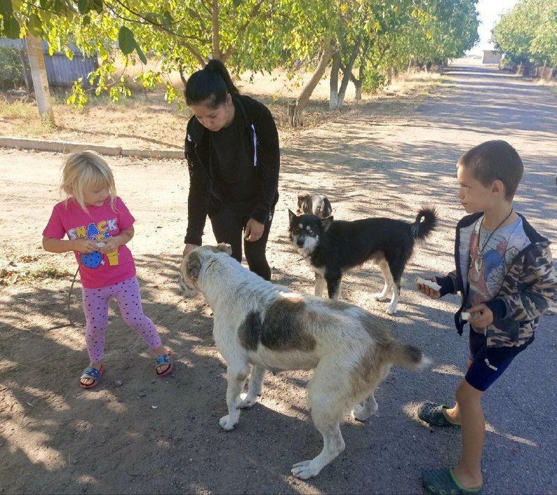 "������� ��������� �����!"