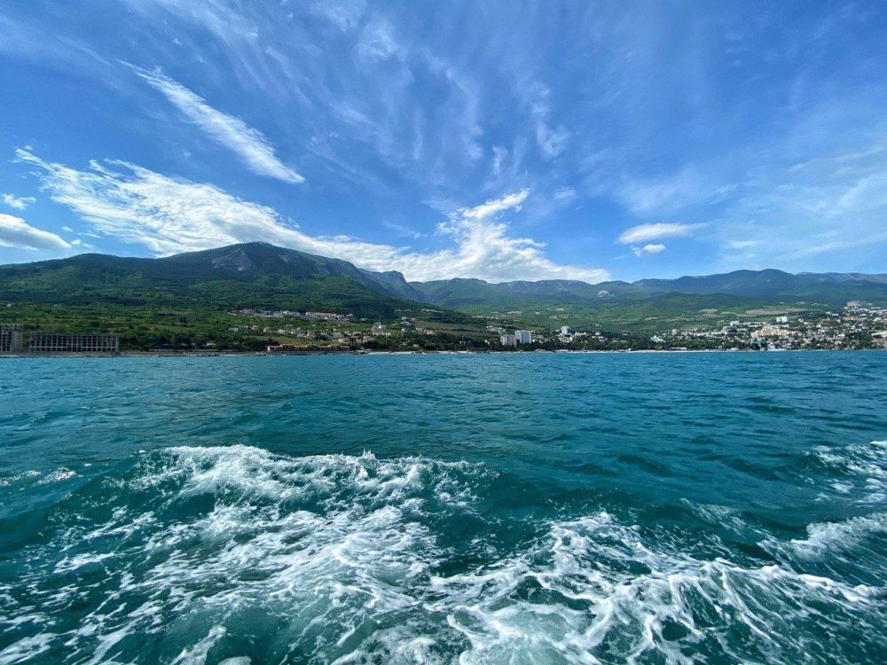 ������ ����, ������! ���� ������ �� �����! ��� � ��� �������� ��������?