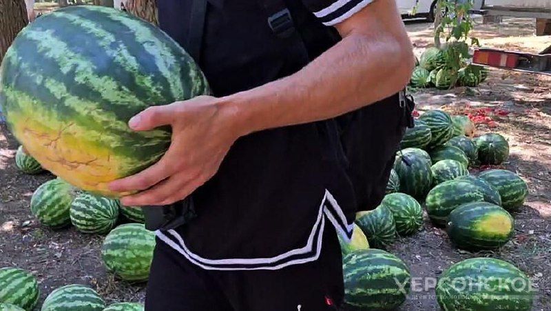 �� ��������� � ��������� ����� ����� 2 ���� �������