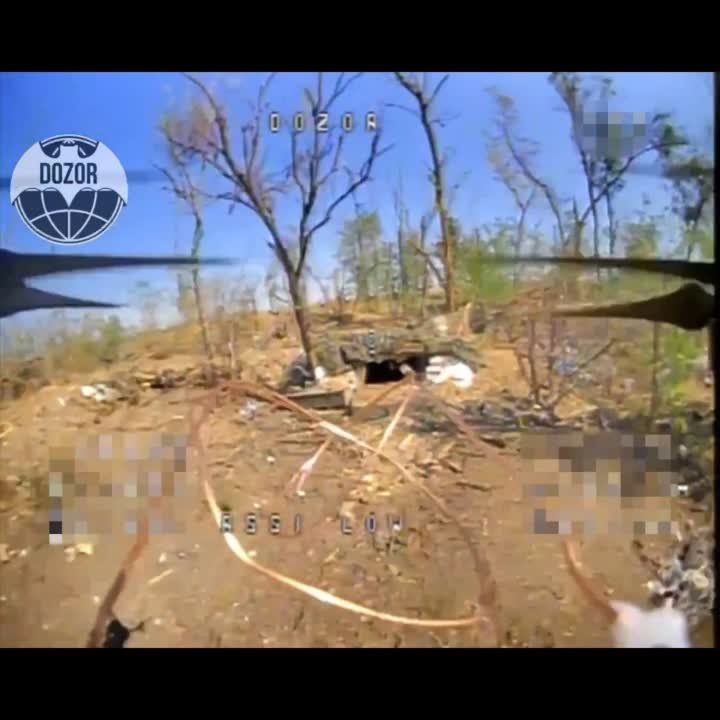 ��� ���� ������� ���������� ���� ����������