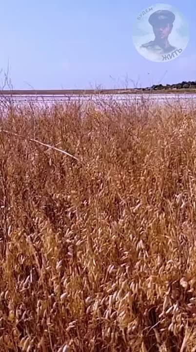 ����� ����������: ������ ����, ������! ��������� �������� � ���� ��������� ����������