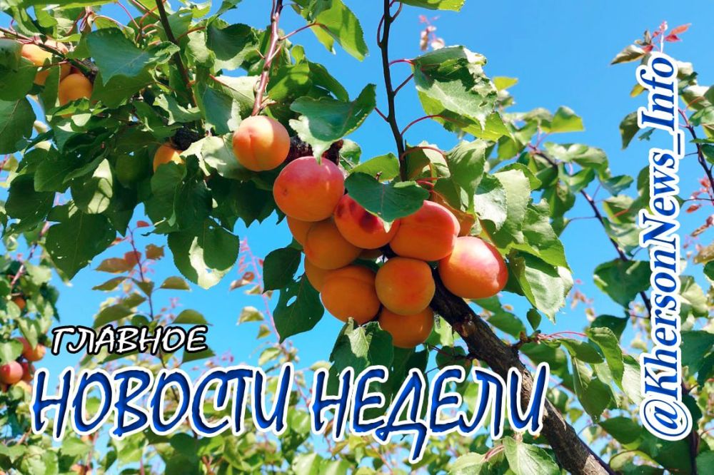 ����������� ������ �� ������ � 12.08