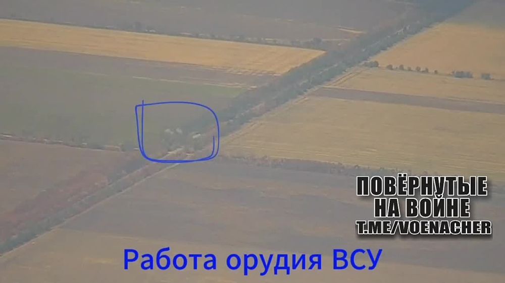 ����������� ������ ����-� �� ���������� �����������