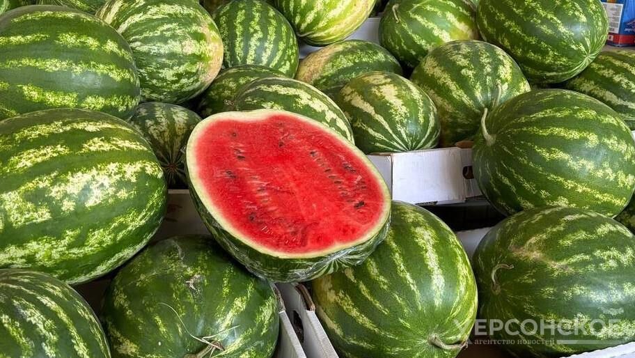 ������: ���������� ������ ���� �� ������� � ����������