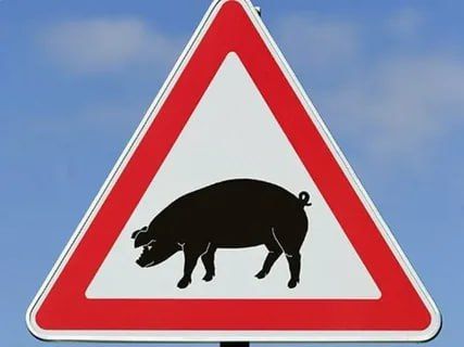 �� ���������� ���������� ������� ���������� �������� "����� �����"