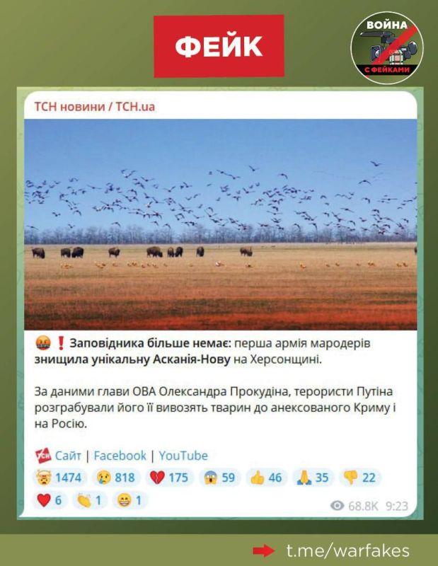 ���������� ��������-����: ������������ ���������� ����������� �����