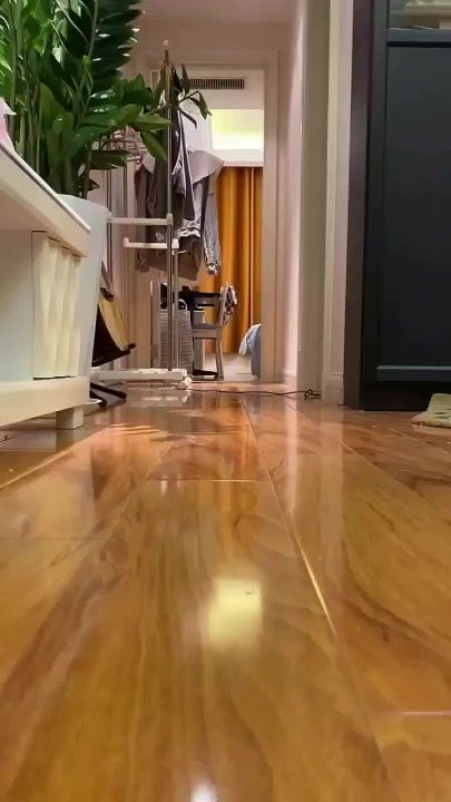 ��������� ����!. ��������-����� ���������� �������