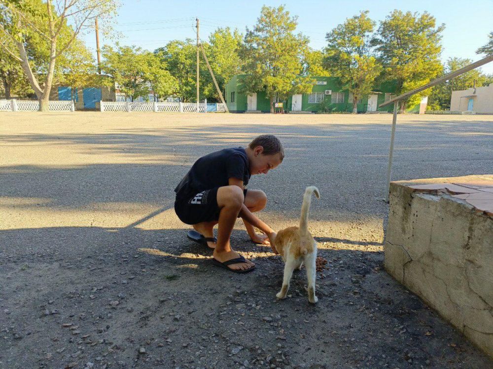 ���� �������� ��������� ��������