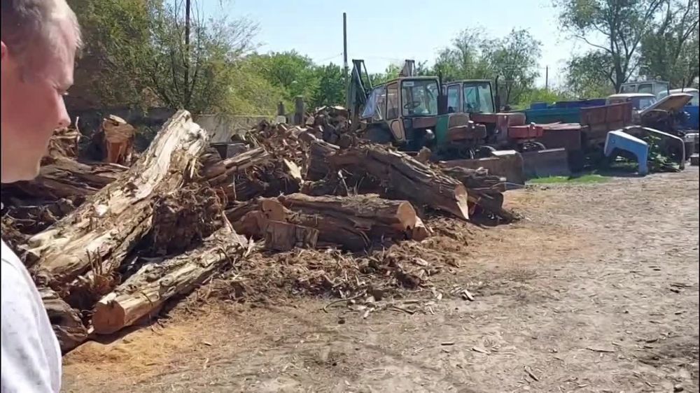 ������� ���������: �������� � ���������� ��� "����" ������� ��������������� ������������ � ����� �� ��������� ������� �� ����������� ������������� �������-������������� �����������