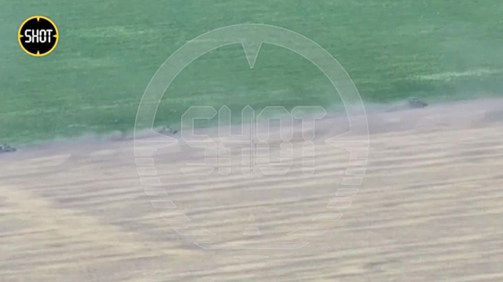 15 ����������� �������� ����� � ���� � ���������� ������ ������� ������� � ��-����� SHOT