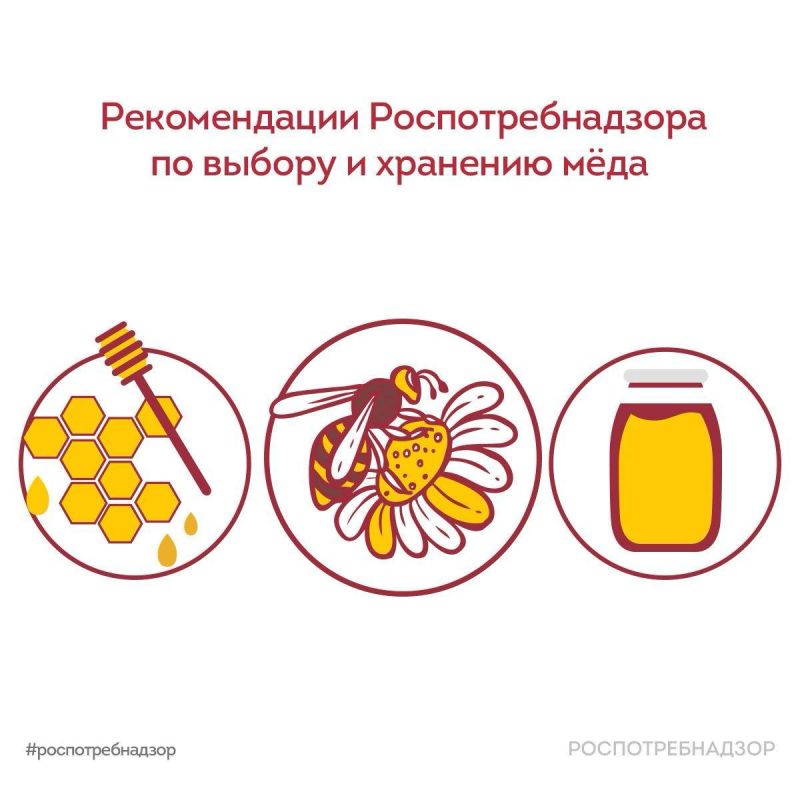 ������������ ���������������� �� ������ � �������� ����