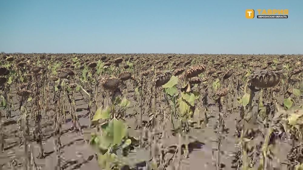 � ���������� ������� ���������� ����� ���������� �� ��������� �������� ��� ��������