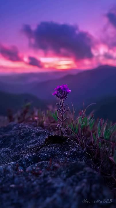 �������� ������ ����!