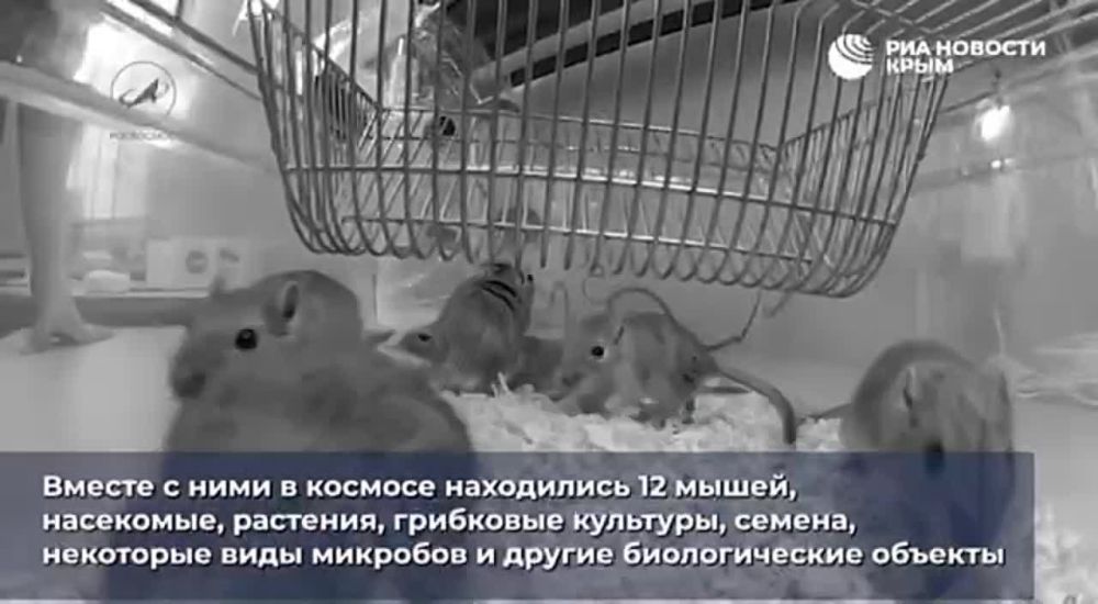 19 ������� 1960 ���� ������-���������� ����� � ������� ����������� � ������