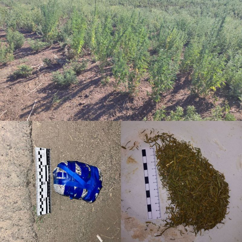 ����������� � ���������� ��� ������ ������� ����� ����������� ������������ � �������� ���������� � ����������� �������