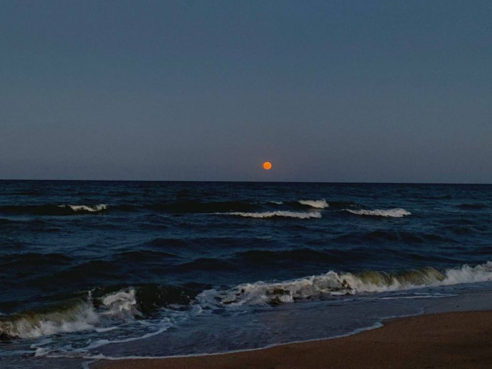 ����� ����������: ���������� �������.. ����������