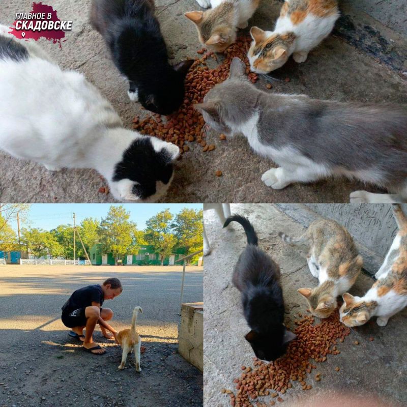 ����� ���������� ������� ���������� � ������ ����������, ������� �������� ��������� �������� � ������ ������ ����������� �� �������