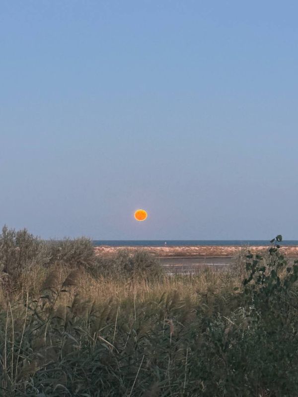 ������ ���������� ������� ��������� ��������� ����