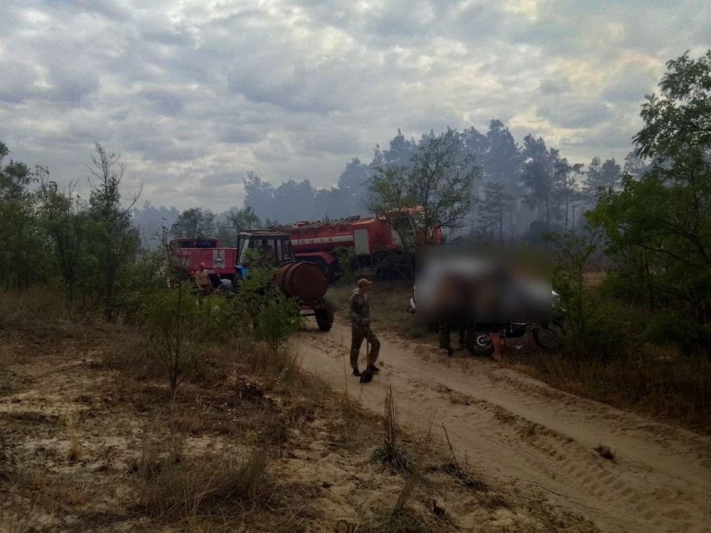 � ��� �� ���������������� ������������� ��������� ������������ �������� ������ � ������� ��������