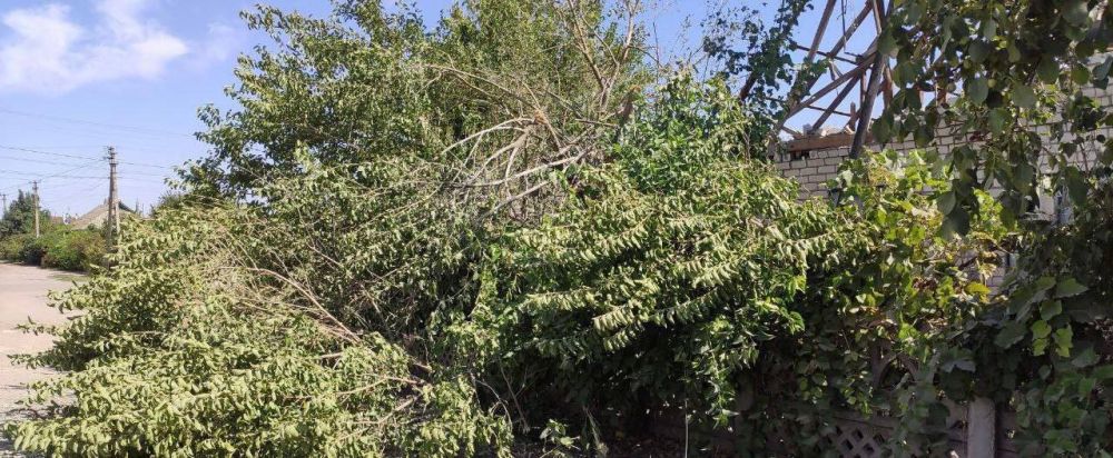 � ��������� � ���������� ����� ��� �������� ���