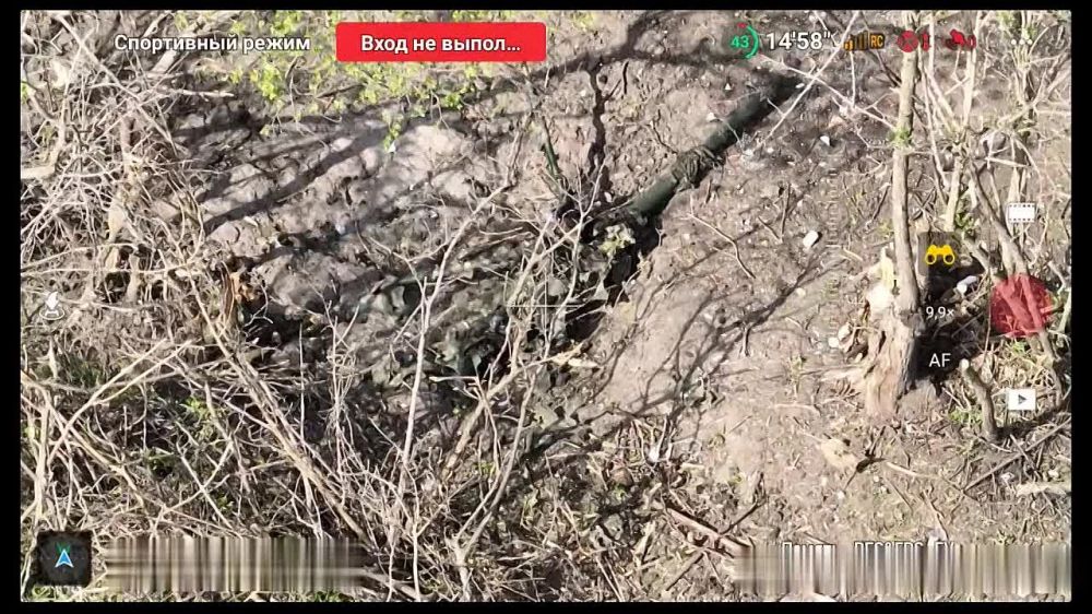 ��������� fpv-������ ���������� ������� ���������� �������� �� 120-�� ��������� �� ����-�������� �����������