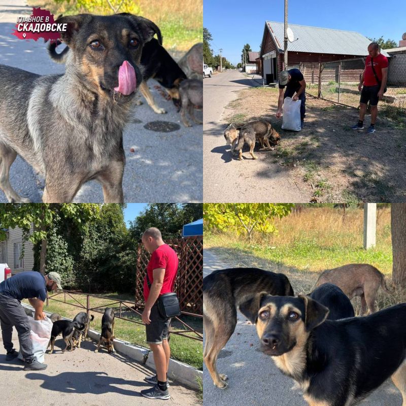 ���������� ���������������� ��������������� ��������� ������������ ����������������� ����� ��� ��������� ��������� ��������