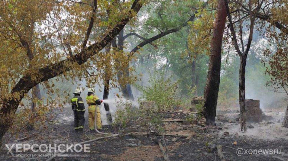 �� ����� � ���������� ������� ������������� 19 ����������