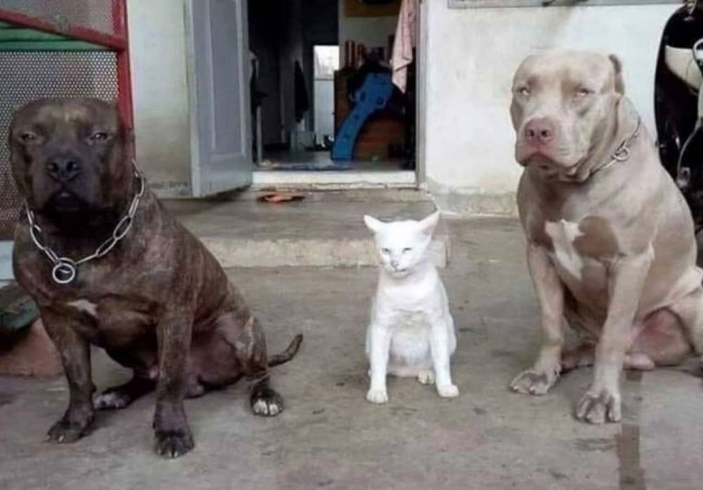 ���� ��� � �������� ��� ����� � ���������, � ������, ��� �� � ���� �� ���