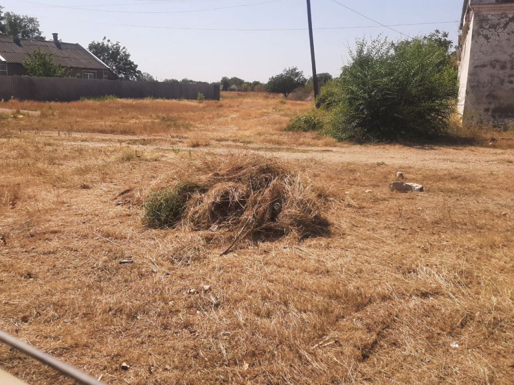 ��� "���������� ������������" ���������� ���������� ���������������� ����������� �������������� ������