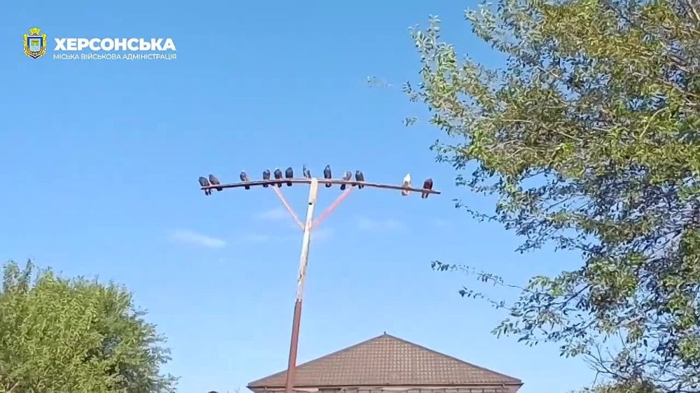 А на том берегу.... Правобережье Херсонщины: дневной обзор новостей По обстрелам и пострадавшим