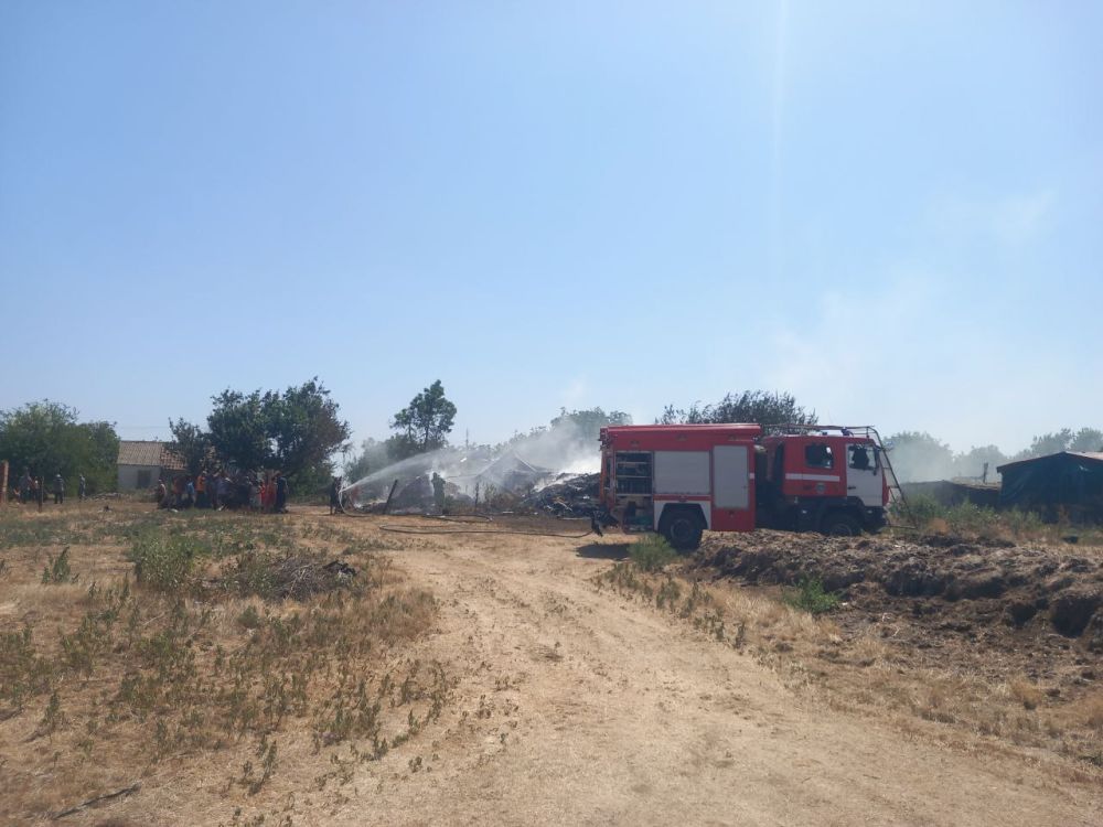 ������� ������ � ���������� ��� �������� ����� � ���� ������� ���������