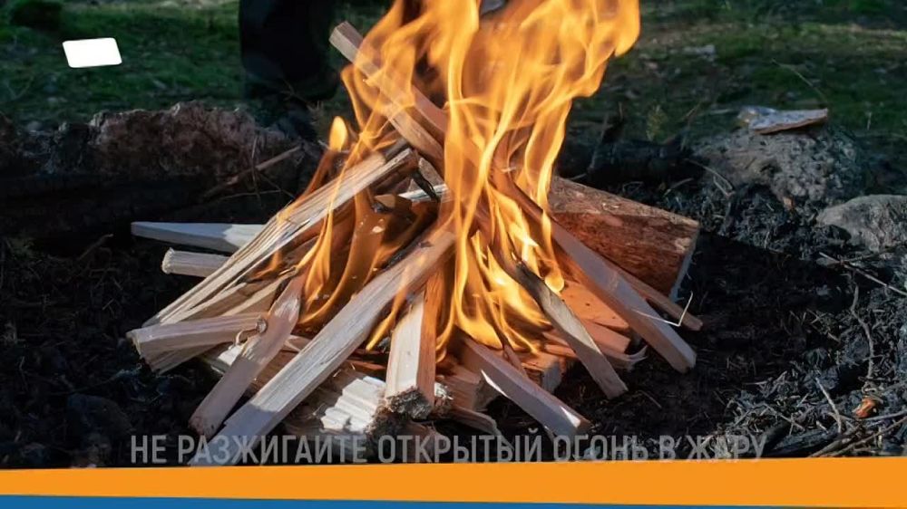 #��������. ��� ������ ����������: