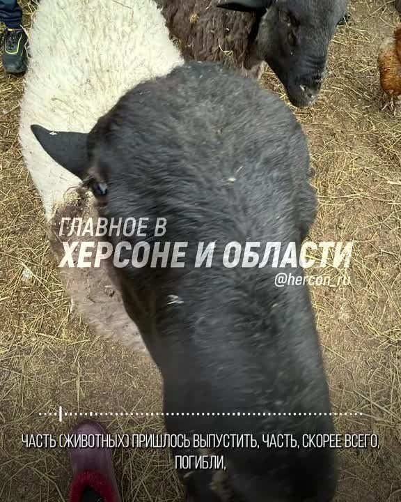 �����������. �� �������� ��� ��������� � ���������, � ������� �������� ����� ��������� ������, ����� ������ ����� ��������� � ������� �� ������� ����������� ������