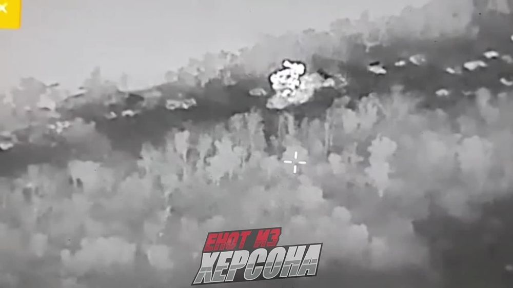 ���� �� �������: � ���� ������������, ��� ��������, ���������� ����������� ������ ����� ���������