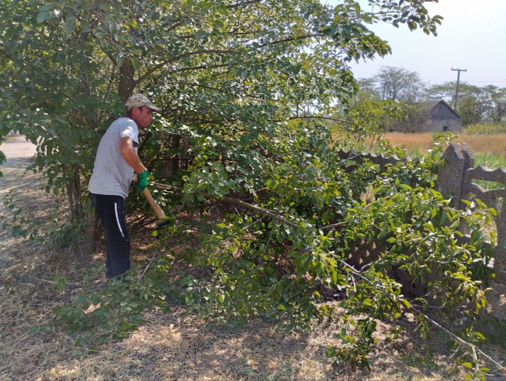 � ���������� ������ �� �������� � �������� � ������������ ������