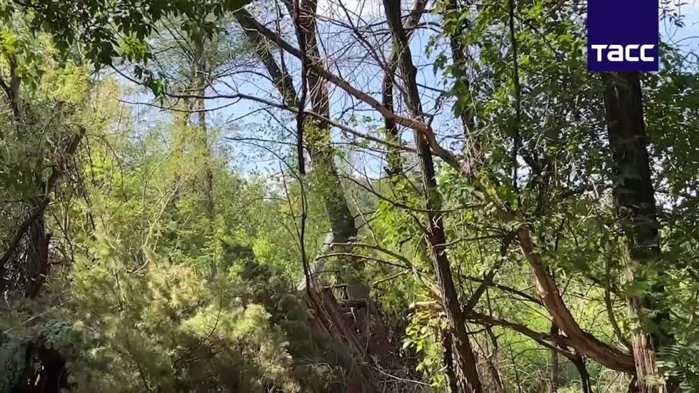 ������������ ���������� ���������� ����� ����������� � ������������ ������� �777 �� ������ ������ ������ ���������� �������