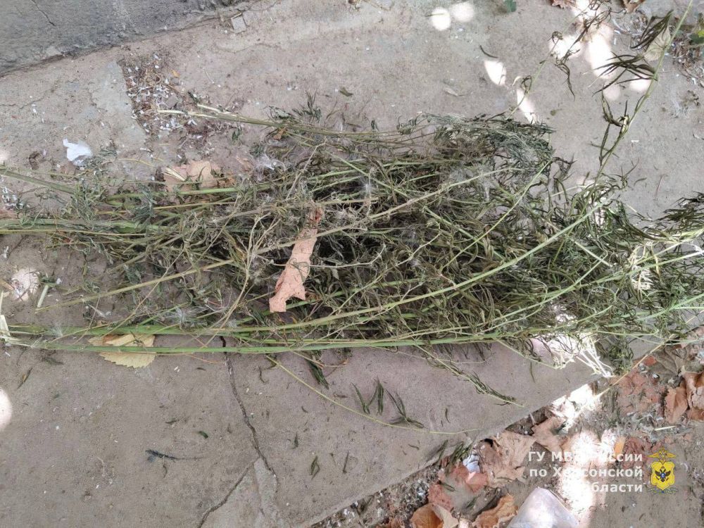 ����������� ������ ������������ �������� � ������ ������������ ������