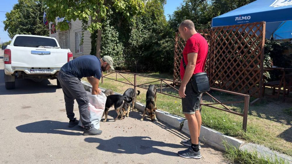 ���������� ���������������� ��������������� ��������� ������� ����� �� ������ ��������� ��������