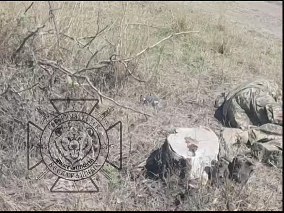 ������� �����������. ������������ ������� ��������� ������ ����� �� ������. �������� �� ��� �������� � "��������� ��� �����" � ������ ��� �� ��� ����