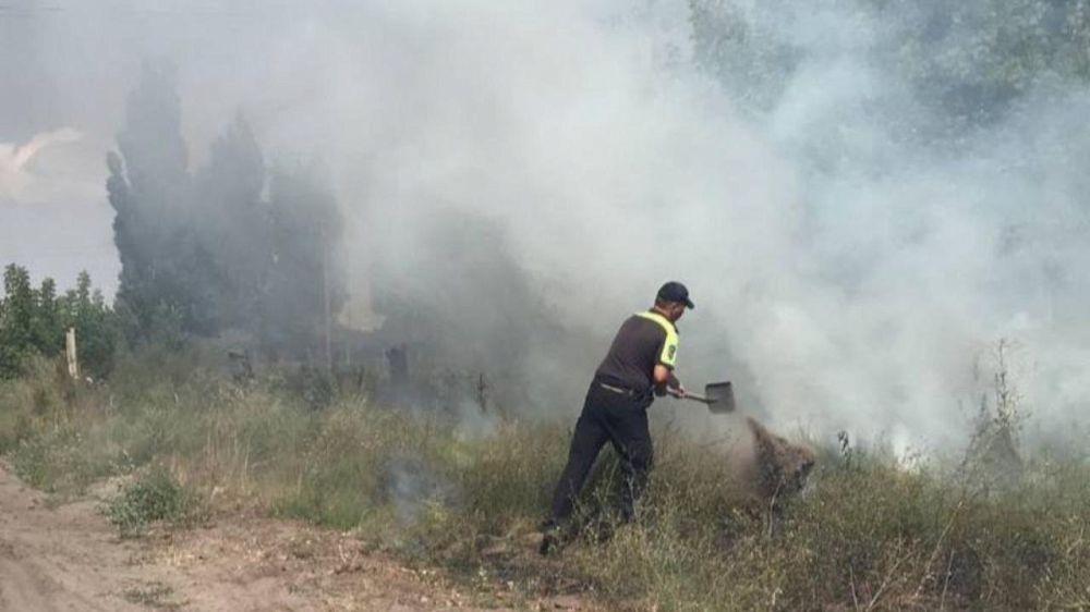 �������������� ������������� ���������� ����� ����� � ����������������� � ���������� �������