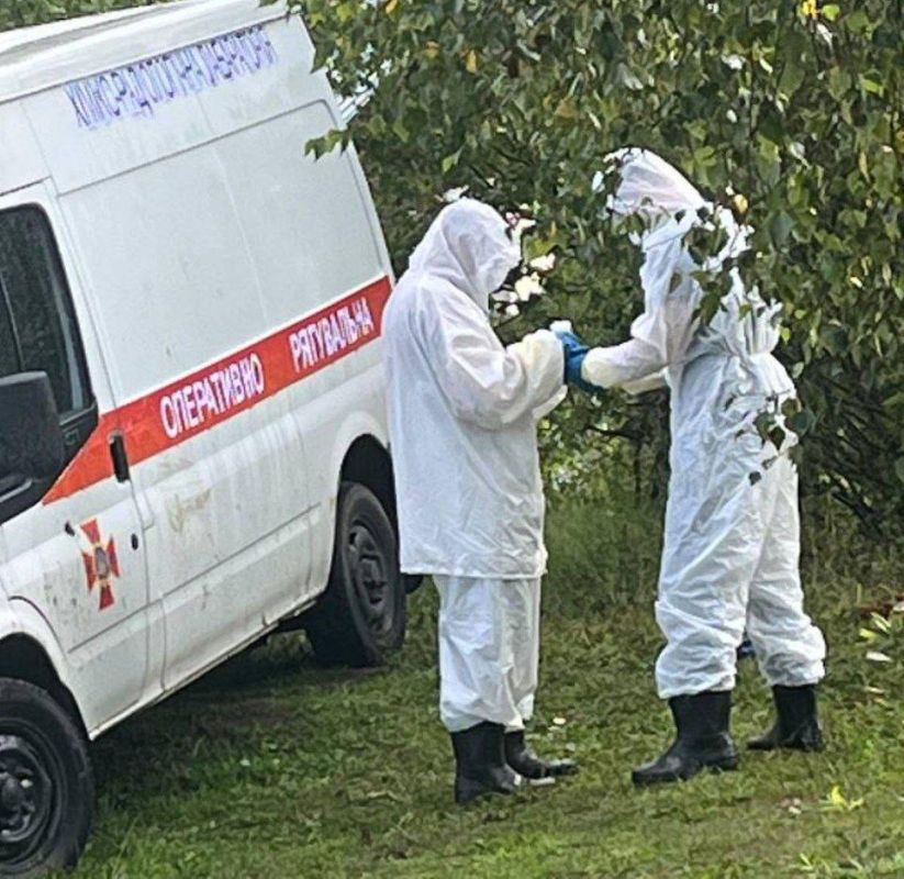 � �������������� ����������� ��������� ������� ��������� ����������� �������� � ������������ ����, ������� ����� ���������� ������� �������� ������