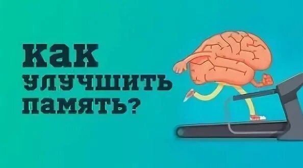 6 ��������� �������� �������� ������ �� ���������