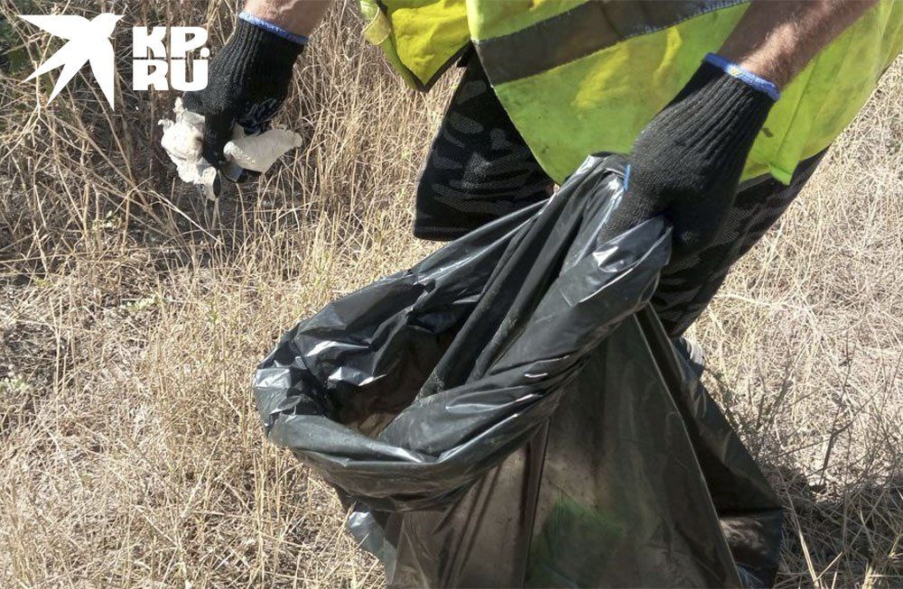 ������������� �������� ������ ����������� ���������� ����� ������ ���������� � �������