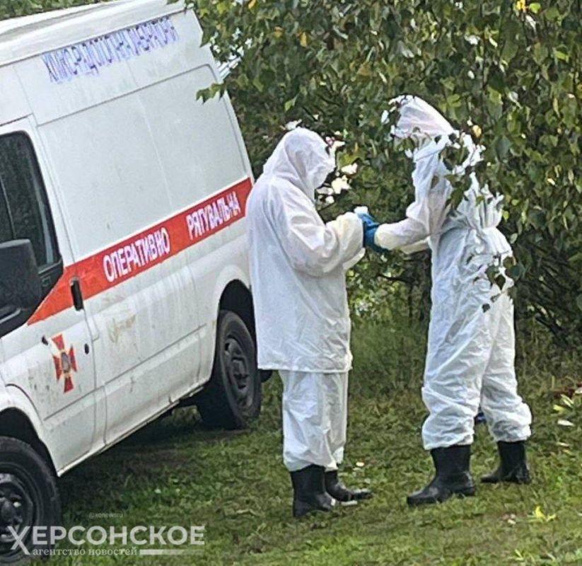 ������ ������ � ����������� �������� � ������� ������������� ��������������� �������