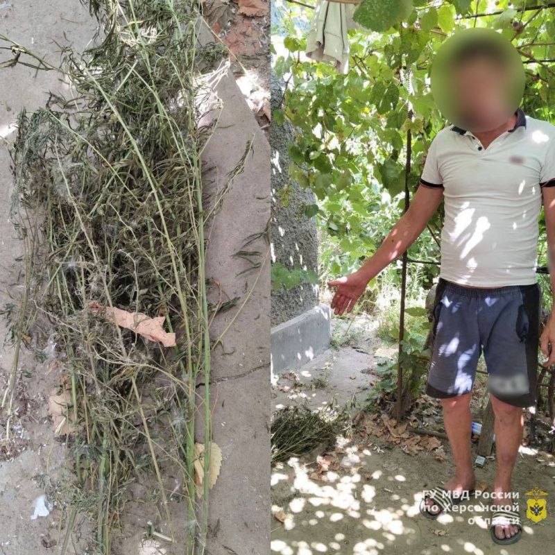 ������ ����� ������ ������ ��� ���� ������� � ������ ������� ������ �� 10 ��� ������� �������