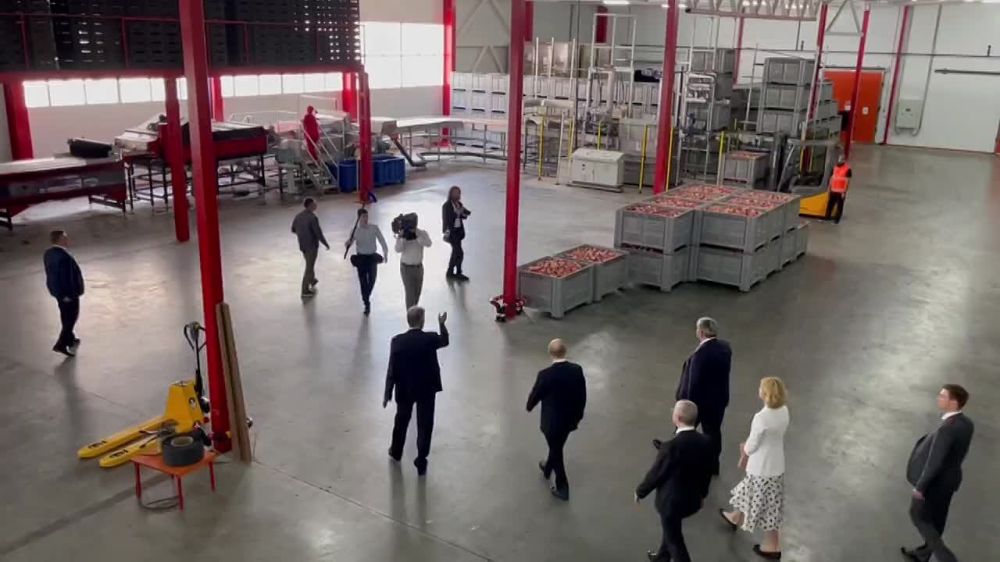 ����� ������� � 2019 ������� � ���������-��������