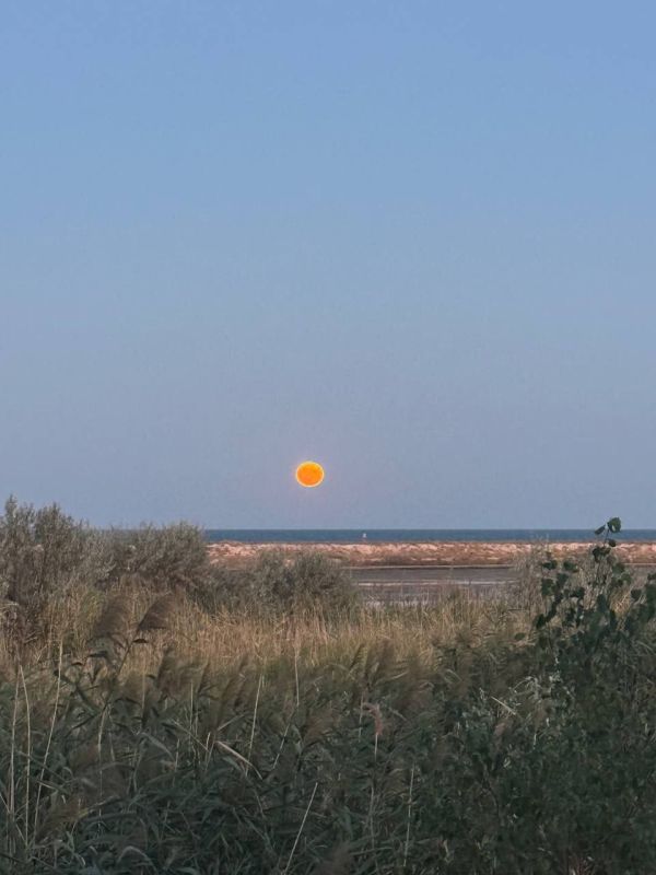 ������ ���������� ������� ����� ����������� ��������� ���� � ����������� ���������������� �������, ������� ������������ ����� ������ ��������� ������� ���� � ����������