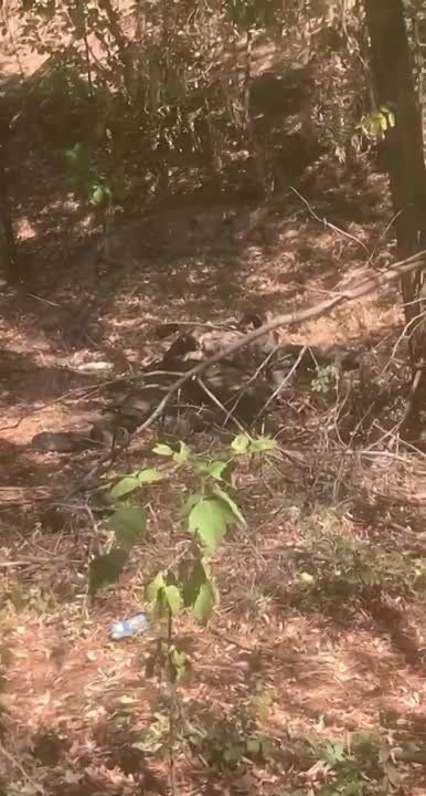 ��� ������: #������ ���� �� 20 ������� 2024 ����