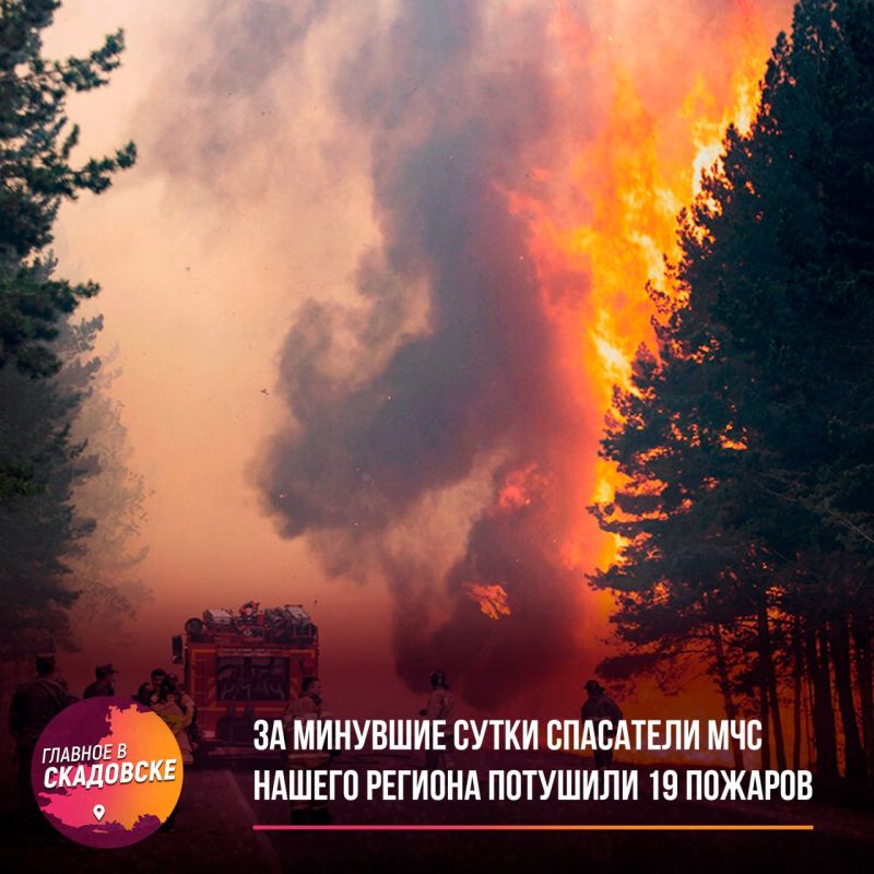 �� �������� ����� ��������� ��� ������ ������� �������� 19 �������