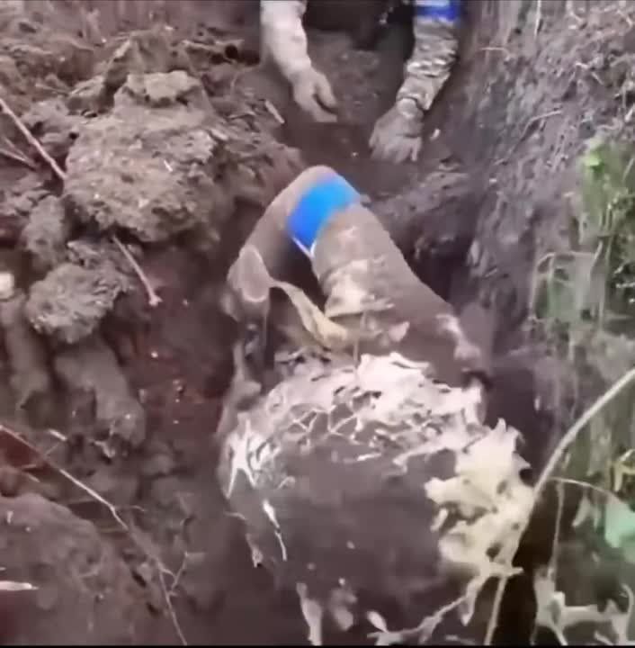 �� ������� ��� ��������� ���